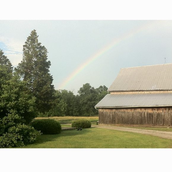 Meet your Posher, Mandy - Picture 1 of 1